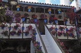 Festival of the Courtyards in Cordoba