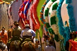 Pilgrimage of El Rocío