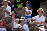 Weinlese in Jerez