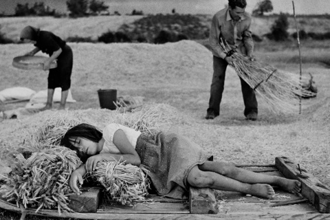 On the threshing floor. Escober, 1988