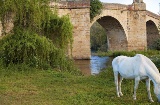 Old bridge in Galisteo, Cáceres (Extremadura)