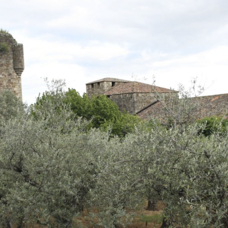 Valverde de la Vera (Cáceres, Extremadura)