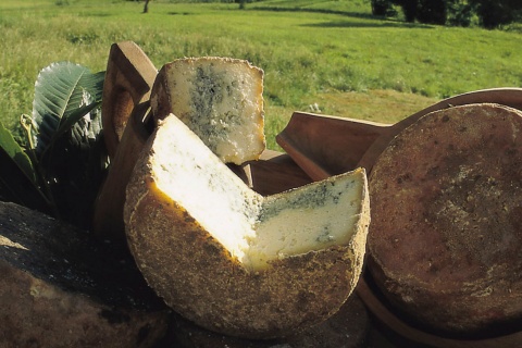 Cabrales cheese