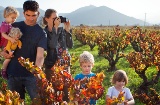 Una famiglia alla scoperta di una cantina dell'itinerario enoturistico di Alicante