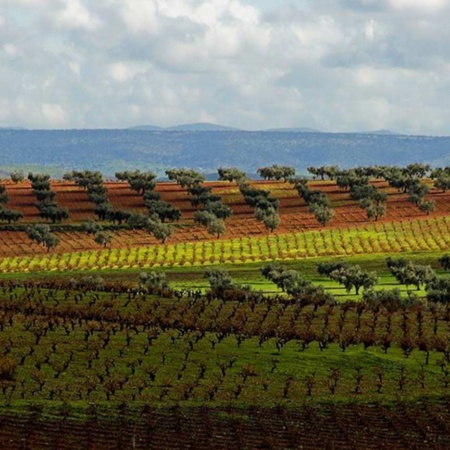 Landschaft an der Wein- und Sektstraße Ribera del Guadiana