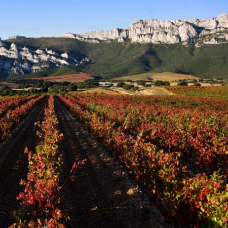 Landschaft entlang der Weinstraße Rioja Alavesa