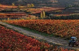 Paesaggio dell'itinerario enoturistico della Rioja Alavesa