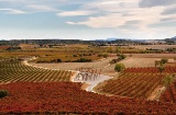 Landscape on the Somontano Wine Route