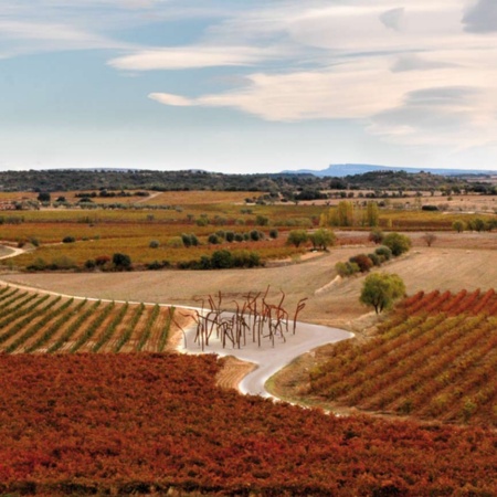 Landscape on the Somontano Wine Route