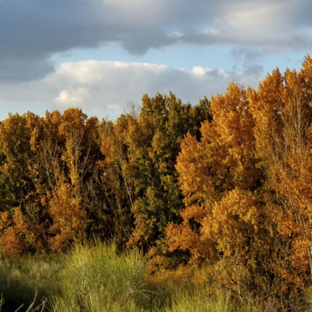 Umgebung von Batres in der Region Madrid