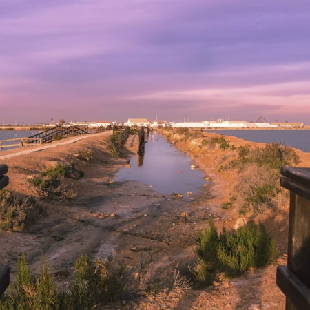 Salinas de San Pedro del Pinatar, en Murcia