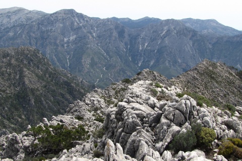 Parc naturel Sierras de Tejeda, Almijara y Alhama 