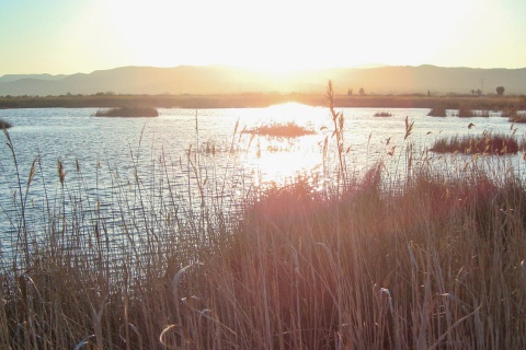 Prat de Cabanes-Torreblanca Natural Park