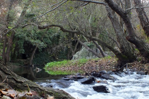 タホ川越境生物圏保護区。セベル川