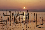 L'Albufera, Valencia