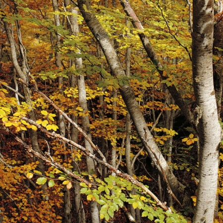 Serra de Tejeda
