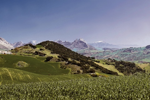 Montes de Malaga Natural Park