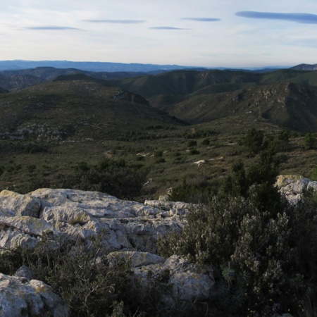 Panoramic view from the Natural Park of El Garraf in Barcelona