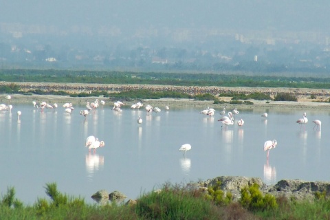 Parco Naturale delle Saline di Santa Pola