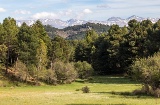 Parc naturel de Sierra de Huétor