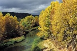 Naturpark Alto Tajo