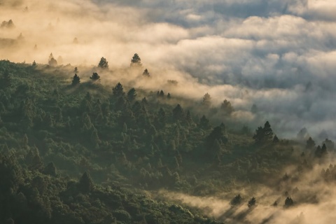 Parc national du Teide, parc naturel de la Corona Forestal