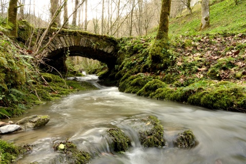 Pont de pierre dans le parc naturel de Pagoeta