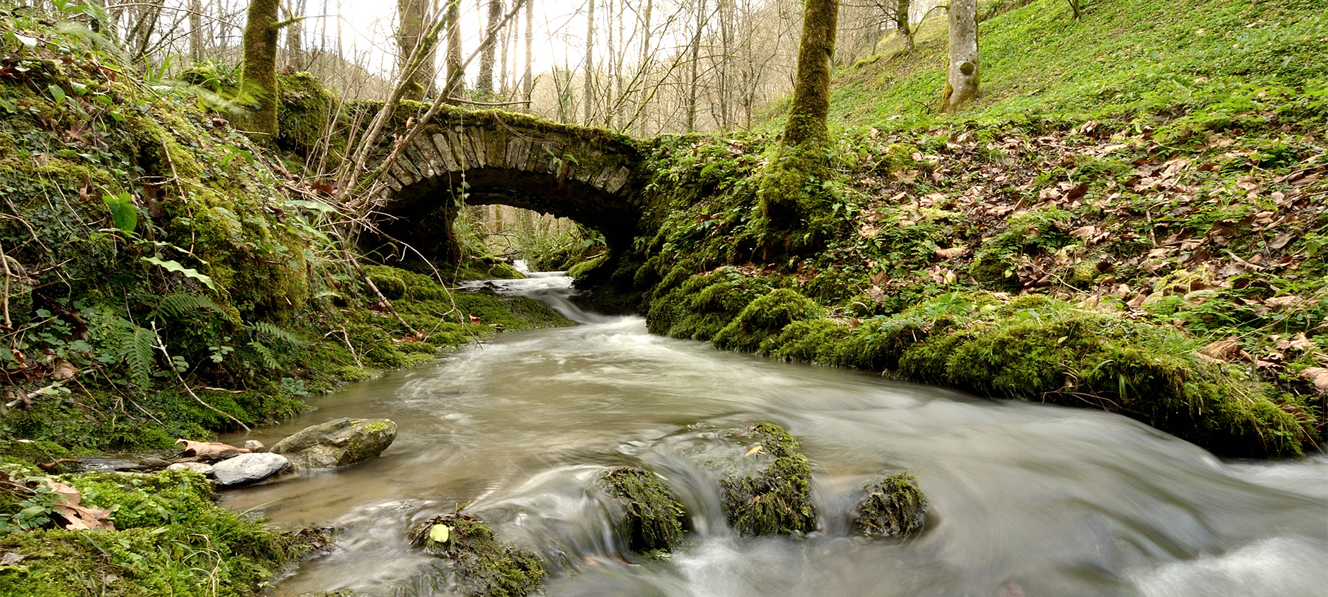 Stone bridge in Pagoeta Natural Park Stone bridge in Pagoeta Natural Park
