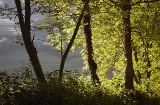 Réserve naturelle de la forêt de Muniellos