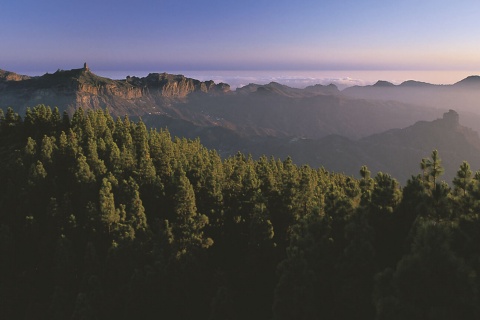 Roque Tejeda in the Canary Islands