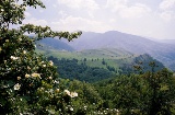 Sierra Cameros im Naturpark Sierra Cebollera