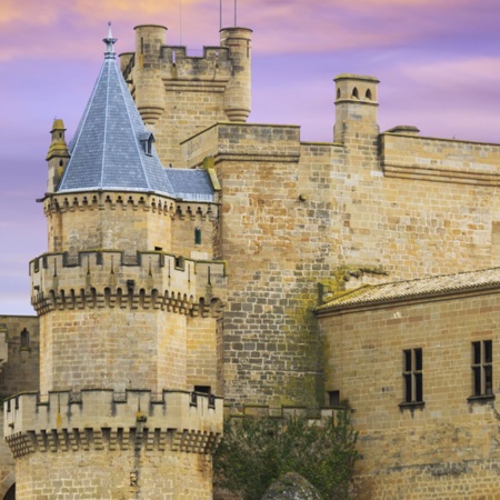 Olite-Burg in Navarra