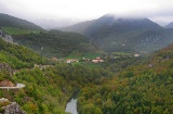 Irati Forest. Navarre