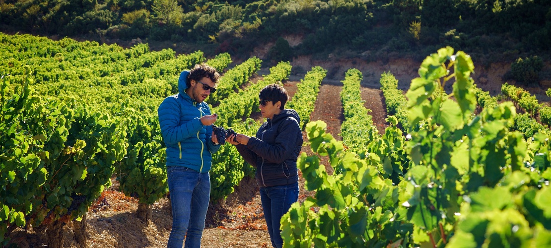 Turistas visitando un viñedo en la zona de la Baja Montaña, Navarra