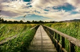 Parque Nacional de Tablas de Daimiel