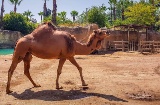 Terra Natura Benidorm