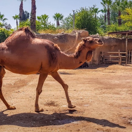 Terra Natura в Бенидорме