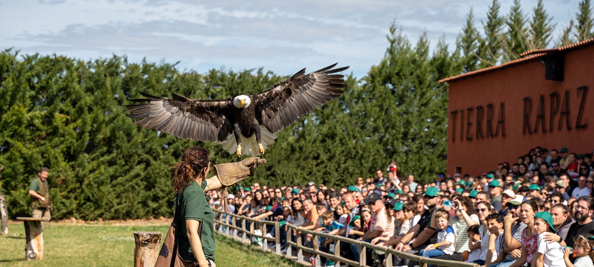Exposition de rapaces Exposition de rapaces