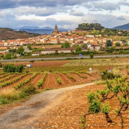 Panoramablick auf Navarrete vor den Weinbergen von La Rioja