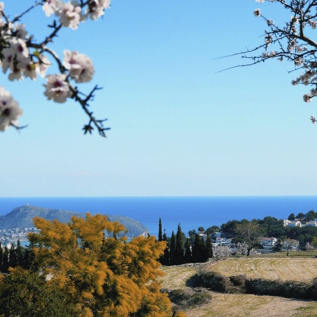 Panoramablick auf Teulada, Alicante (Region Valencia)