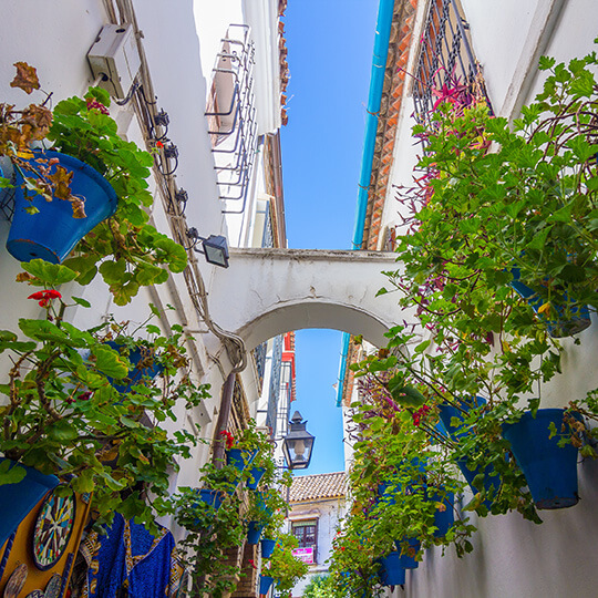 Courtyards in Cordoba