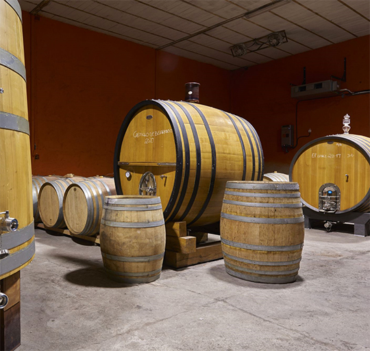 Strada del vino Mentrida-Toledo