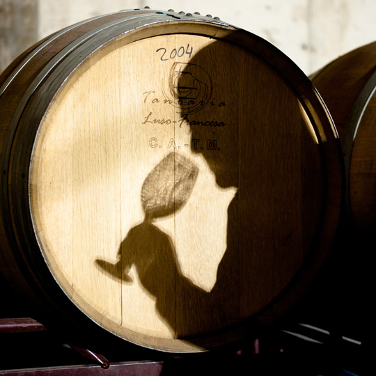 Route du vin et du cava Ribera del Guadiana