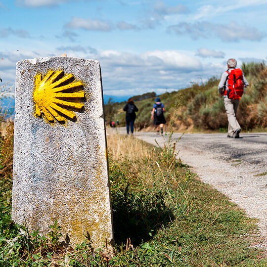 Pilgrims on the Way of Saint James