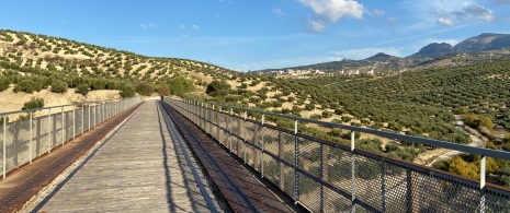 Via Verde del Aceite a Torredelcampo