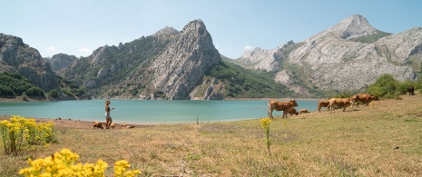  The Lakes of Covadonga in Picos de Europa National Park, Asturias