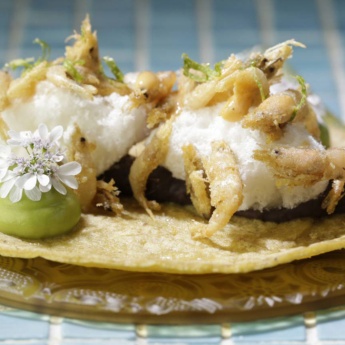 Plato del restaurante Hoja Santa