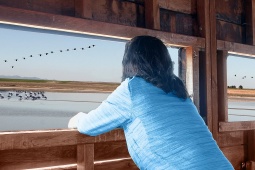 Una donna che osserva gli uccelli in un parco naturale